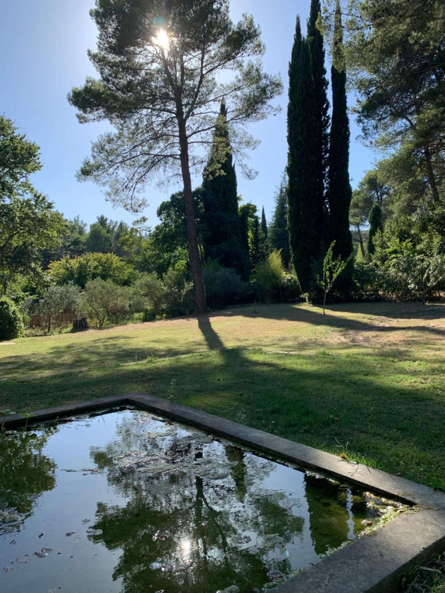 Cabane De La Leque Fontvieille Buitenkant foto