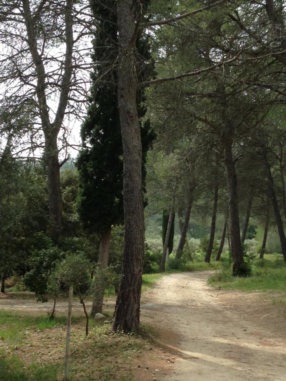 Cabane De La Leque Fontvieille Buitenkant foto
