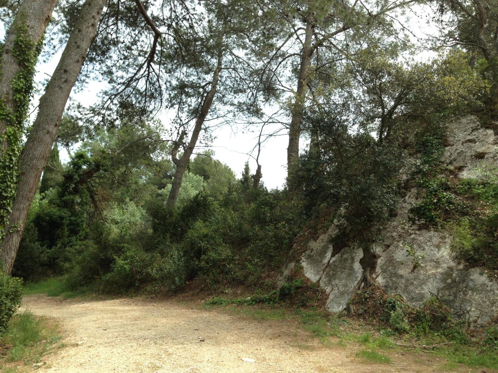 Cabane De La Leque Fontvieille Buitenkant foto