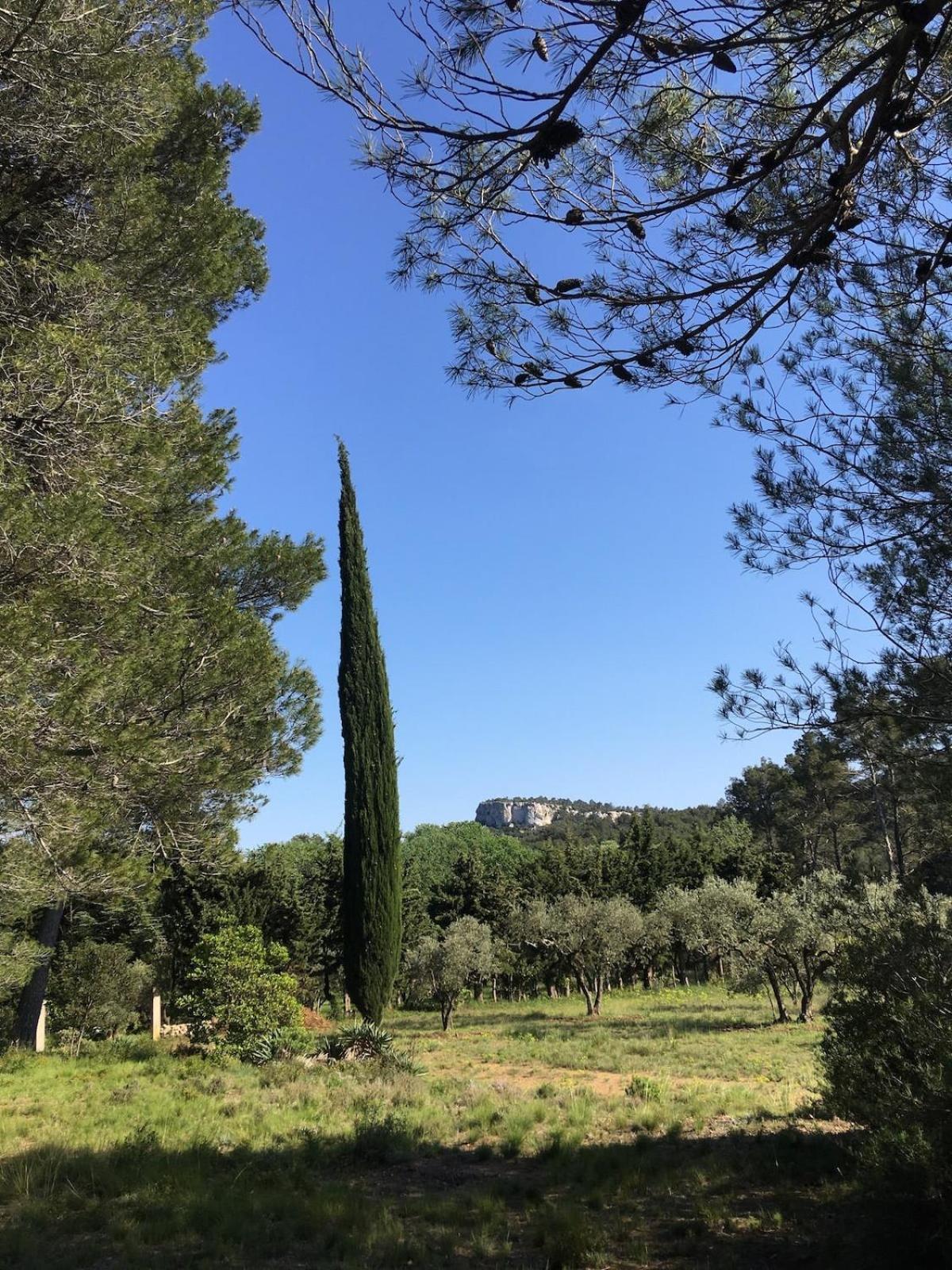 Cabane De La Leque Fontvieille Buitenkant foto