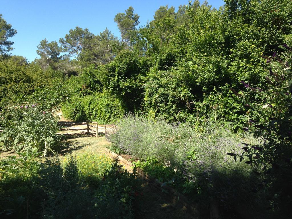 Cabane De La Leque Fontvieille Buitenkant foto
