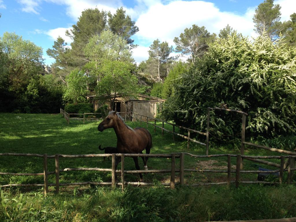 Cabane De La Leque Fontvieille Buitenkant foto